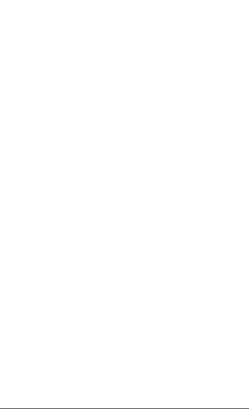 Logo Bogaerts wit